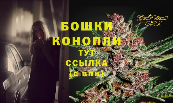 ПСИЛОЦИБИНОВЫЕ ГРИБЫ Михайлов