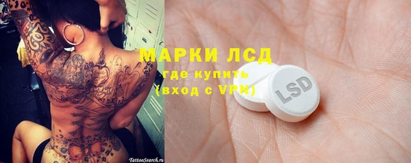 ПСИЛОЦИБИНОВЫЕ ГРИБЫ Михайлов
