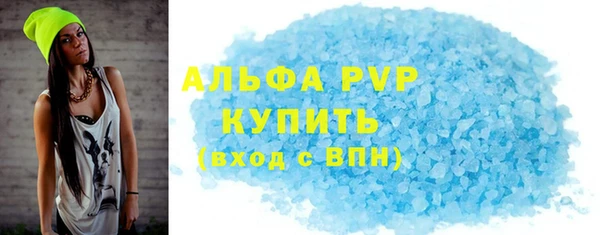 ПСИЛОЦИБИНОВЫЕ ГРИБЫ Михайлов