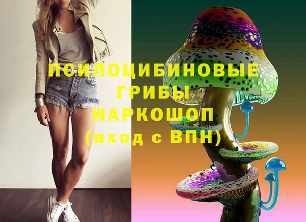ПСИЛОЦИБИНОВЫЕ ГРИБЫ Михайлов