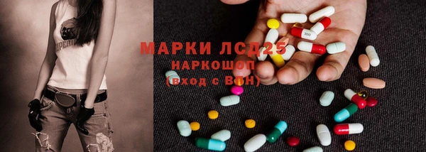 ПСИЛОЦИБИНОВЫЕ ГРИБЫ Михайлов