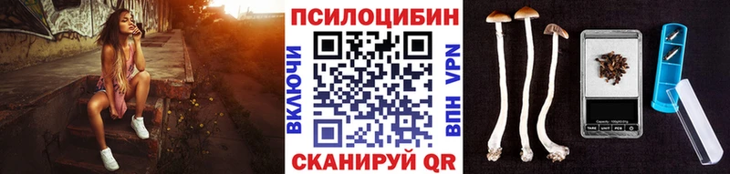 Псилоцибиновые грибы MAGIC MUSHROOMS  Купить  Каргат 